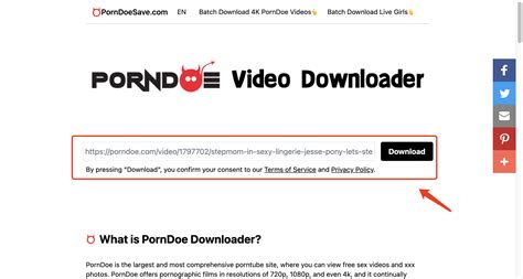 porn doe com|Porndoe Porn Videos .